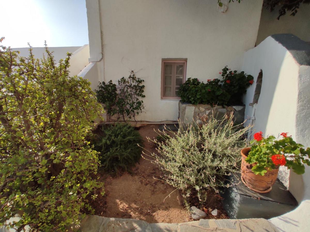 Porto Sikinos Hotel Alopronia Extérieur photo